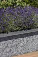 Gevelst. Rox 29x9x8,9 antraciet