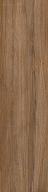 GeoCeramica® 120x30x4 Mywood Cicieglio